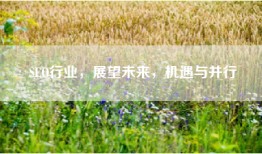 SEO行业，展望未来，机遇与并行