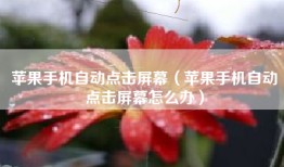 苹果手机自动点击屏幕（苹果手机自动点击屏幕怎么办）