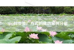 SEO网页推广方式的成功案例分享