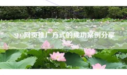 SEO网页推广方式的成功案例分享
