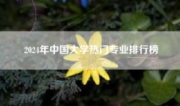 2024年中国大学热门专业排行榜