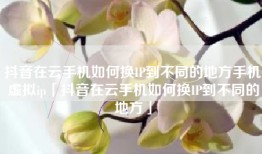 抖音在云手机如何换IP到不同的地方手机虚拟ip「抖音在云手机如何换IP到不同的地方」