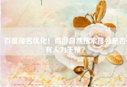 百度排名优化！百度自然搜索排名是否有人为干预？