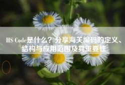 HS Code是什么？分享海关编码的定义、结构与应用范围及其重要性