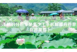 手机的分辨率是多少（手机屏幕分辨率在哪里看）