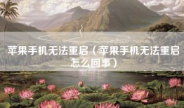 苹果手机无法重启（苹果手机无法重启怎么回事）