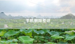 手机删除差评