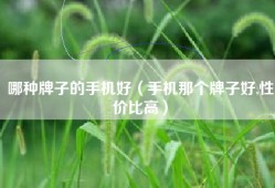 哪种牌子的手机好（手机那个牌子好,性价比高）