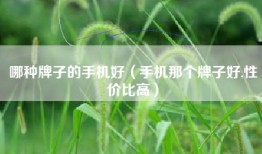 哪种牌子的手机好（手机那个牌子好,性价比高）