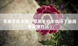 苹果手机半屏（苹果手机半屏坏了最简单处理方法）