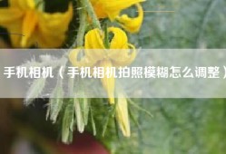 手机相机（手机相机拍照模糊怎么调整）