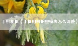 手机相机（手机相机拍照模糊怎么调整）