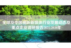 全球及中国视听新媒体行业发展动态及重点企业调研报告2024-2030年