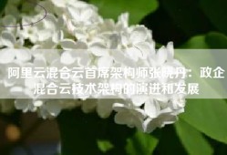 阿里云混合云首席架构师张晓丹：政企混合云技术架构的演进和发展