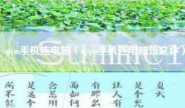 oppo手机连电脑（oppo手机连电脑传文件）