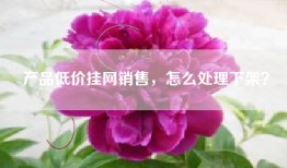产品低价挂网销售，怎么处理下架？