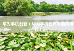 华为手机创新（华为手机创新发展的素材）