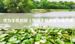 华为手机创新（华为手机创新发展的素材）
