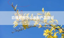 百度地图怎么添加产品图片