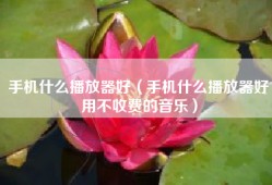 手机什么播放器好（手机什么播放器好用不收费的音乐）