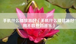 手机什么播放器好（手机什么播放器好用不收费的音乐）