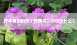摔手机的游戏（摔手机的游戏叫什么）