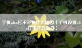手机wlan打不开是什么原因（手机设置wlan打不开怎么办）