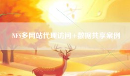 NFS多网站代理访问+数据共享案例
