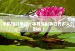 手机辐射孕妇（手机辐射孕妇有多大的影响）