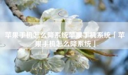 苹果手机怎么降系统苹果手机系统「苹果手机怎么降系统」
