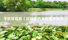 手机穿皮筋（皮筋穿透手机魔术教学）