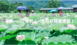 手机excel（手机excel表格软件免费版）
