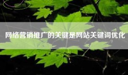 网络营销推广的关键是网站关键词优化