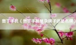 奥丁手机（奥丁手机是杂牌子还是名牌）