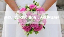 高效广告攻略，指南与关键步骤解析