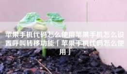 苹果手机代码怎么使用苹果手机怎么设置呼叫转移功能「苹果手机代码怎么使用」