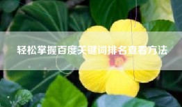 轻松掌握百度关键词排名查看方法