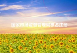 国家市场监督管理局核名注册