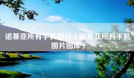 诺基亚所有手机图片（诺基亚所有手机图片图库）