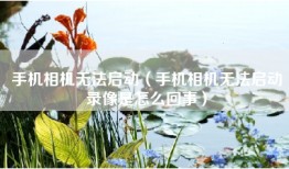 手机相机无法启动（手机相机无法启动录像是怎么回事）