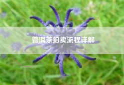 普洱茶拍卖流程详解
