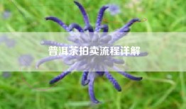 普洱茶拍卖流程详解