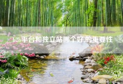 b2b平台和独立站哪个好,的重要性