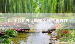 b2b平台和独立站哪个好,的重要性