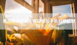 黑白屏的手机（黑白屏的手机对眼睛好吗）