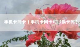 手机卡网卡（手机卡网卡可以换卡吗）