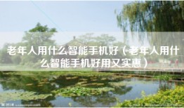 老年人用什么智能手机好（老年人用什么智能手机好用又实惠）