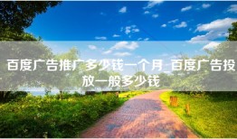 百度广告推广多少钱一个月_百度广告投放一般多少钱