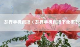 怎样手机直播（怎样手机直播下象棋）