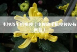 电视放手机视频（电视放手机视频没有声音）